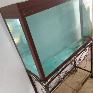 فروش آکواریوم ماهی سمنان در سایت آگهی و خرید و فروش دزار سمنان.
