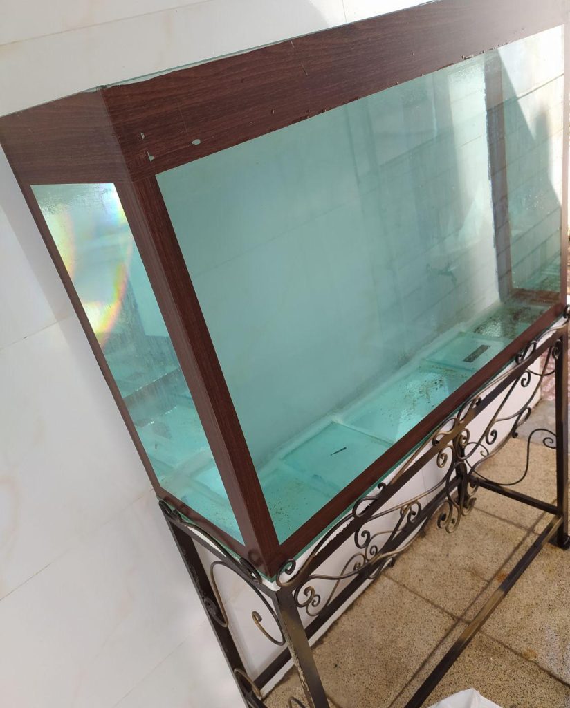 آکواریوم ماهی سمنان