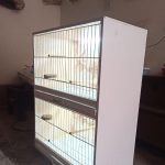 قفس اروپایی دو طبقه